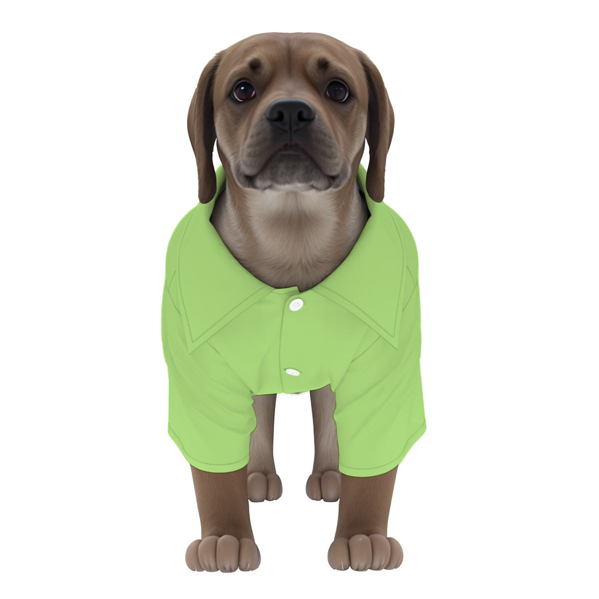 ADS-3APCCS02-MRYKN-FFFFFF