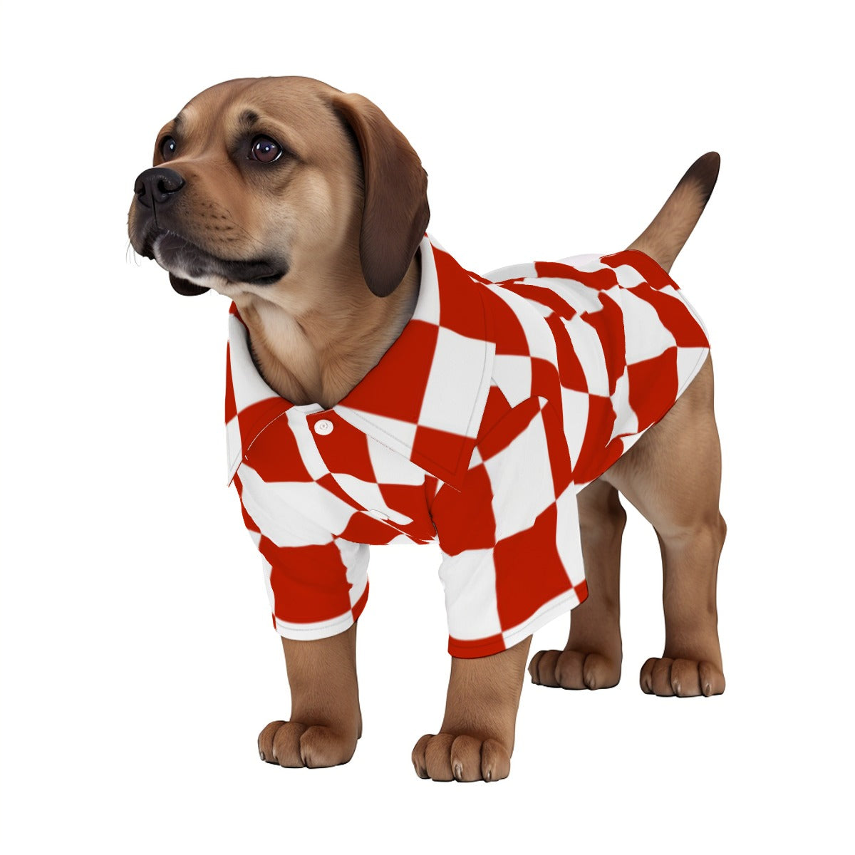 ADS-3APCCS02-MRYKF-FFFFFF