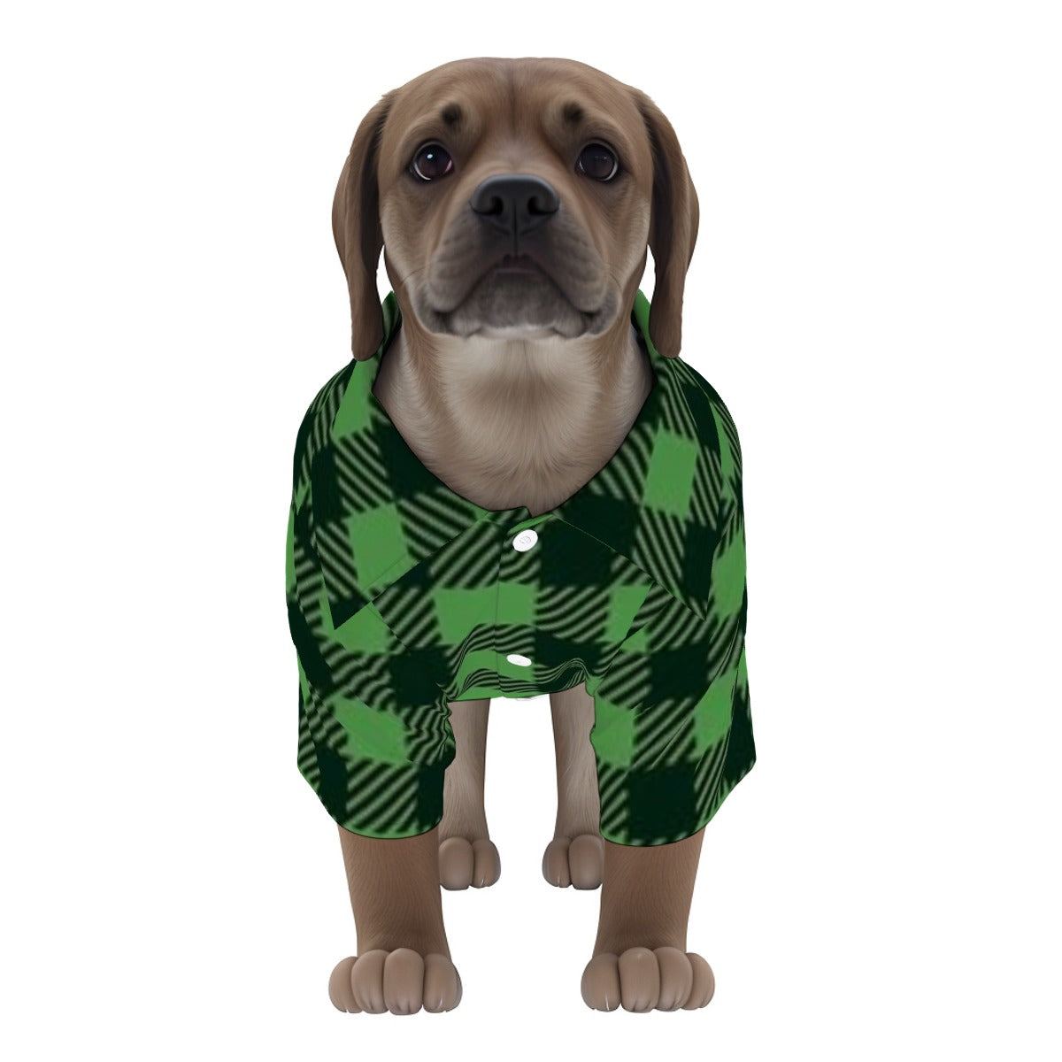 ADS-3APCCS02-MRYKL-FFFFFF