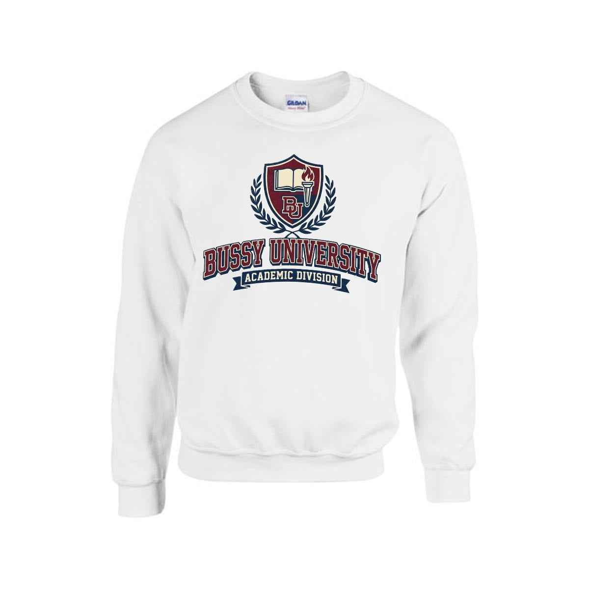 Bussy University Men's Sweatshirt