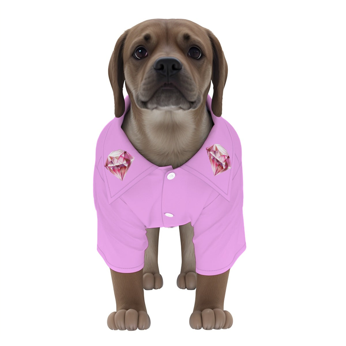 Doggie Clothes