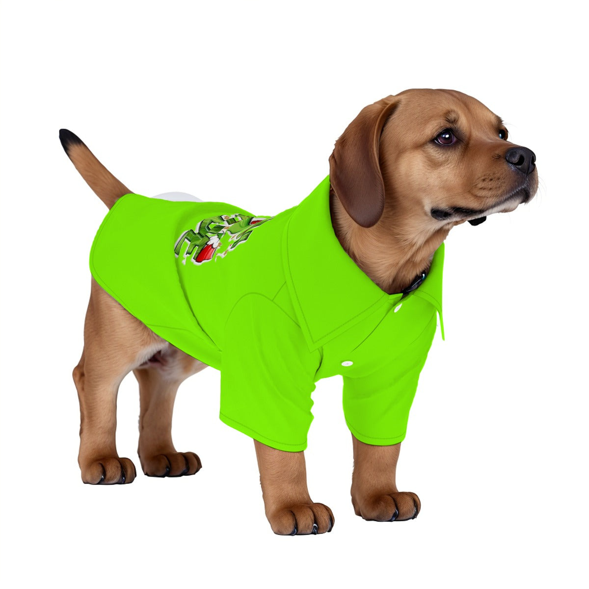 Doggie Clothes