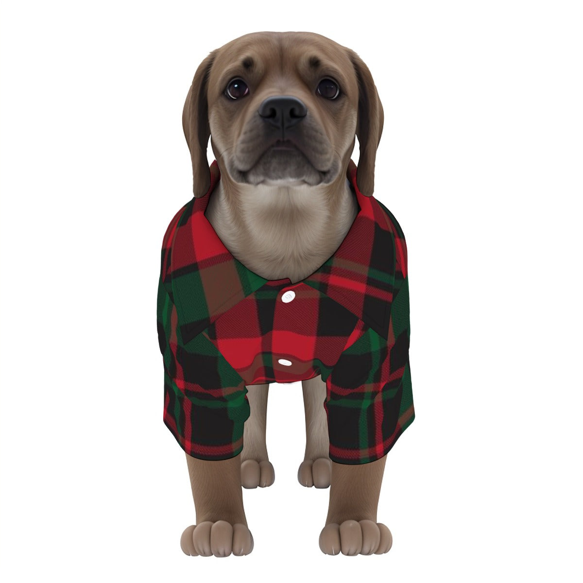 ADS-3APCCS02-MRYKK-FFFFFF